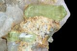 Lustrous, Yellow Apatite Crystals on Calcite - Morocco #84324-1